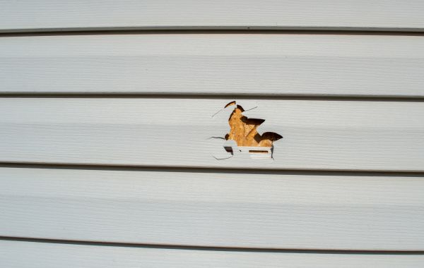 Cost of Siding Hole Repair in New Berlin